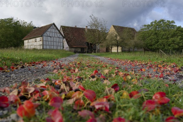 Autumn leaves lie on the path in the Hohenlohe Open-Air Museum, Autumn, September, Wackershofen, Schwäbisch Hall, Hohenlohe, Heilbronn-Franken, Baden-Württemberg, Germany, Europe