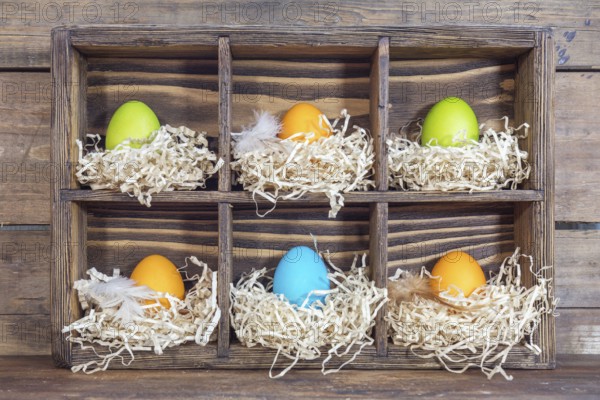 Easter colorful eggs in the nests in cell boxes