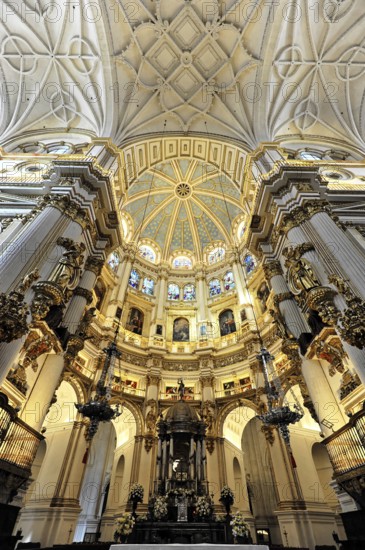 Santa Maria de la Encarnación, Cathedral of Granada, Interior view, Sublime cathedral dome with decorated columns and baroque style, Granada, Andalusia, Spain, Europe