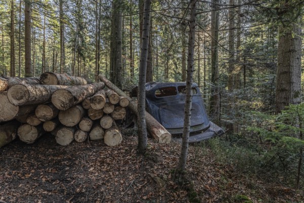 Wrecked Hudson Terraplane K Tourer Sedan built in 1935 that has been sitting in a forest for decades, Menzingen, Zug, Switzerland, Europe