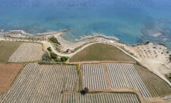 Aerial drone view of greenhouses in a row, covered with a transparent film of growing vegetables and fruits. Food cultivation Farming, bio products. Paralimni Cyprus