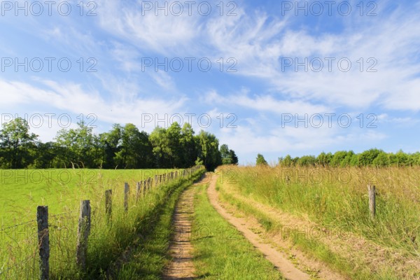 Landscape green hills in French Nouvelle aquitaine