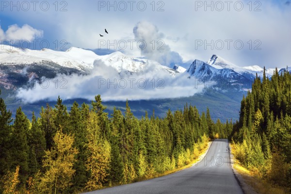 Canadian Rockies. Fine September day. The highway passes among mountains and the turned yellow woods