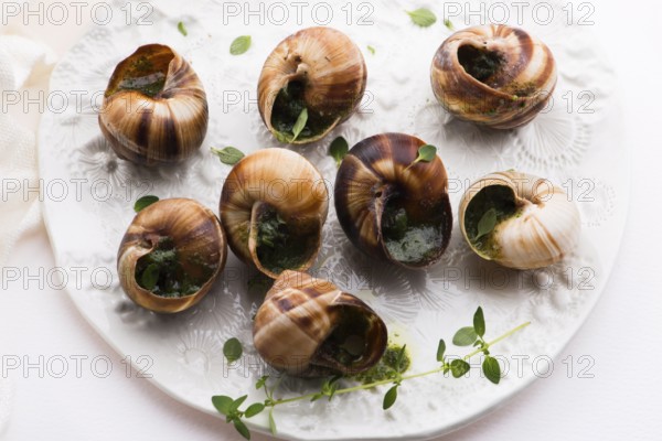 Escargot platter, delicious french delicatessen