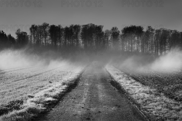 Foggy landscape, near Wesertal, Weser Uplands, Weserbergland, Hesse, Germany, Europe
