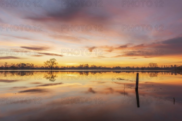 Reflection of orange sky in water of flooded meadow at sunrise. Alsace, France, Europe
