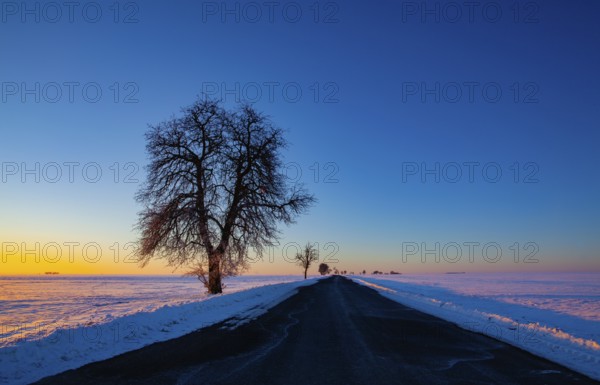 Empty road through snow-covered field after a blizzard at sunset. Clear sky, golden light. Idyllic rural scene