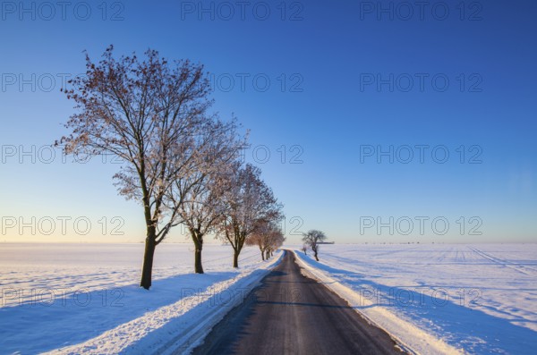 Empty road through snow-covered field after a blizzard at sunrise. Clear sky, golden light. Idyllic rural scene