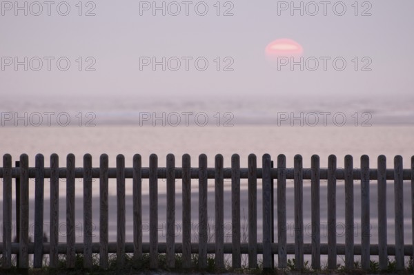 Landscape by the sea with wooden fence in the foreground and calm sunset in the background, Borkum, North Sea, East Frisia, Germany, Europe