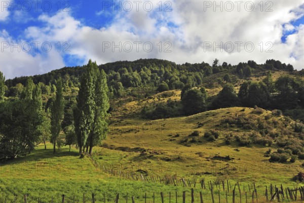 Countryside in Chilean Patagonia. Low hills overgrown with grass, forest and blocked by low fence