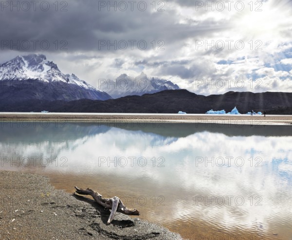 Dry driftwood on the sandy beach. Bright reflections of sky and clouds in the smooth cold water of Lake Grey. Chilean Patagonia, National Park Torres del Paine