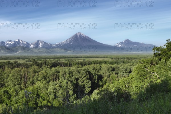 Kamchatka Peninsula summer landscape: beautiful view of Avachinsky-Koryaksky Group of Volcanoes, green forest and blue sky on sunny day. Kamchatka Region, Russian Far East, Eurasia