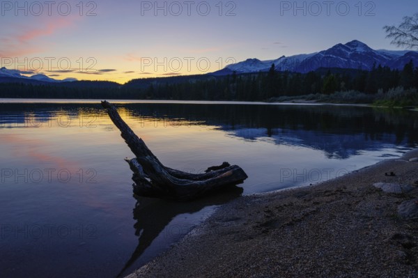 Beautiful autumn landscape scene in mountain in background in Jasper National Park west Canada