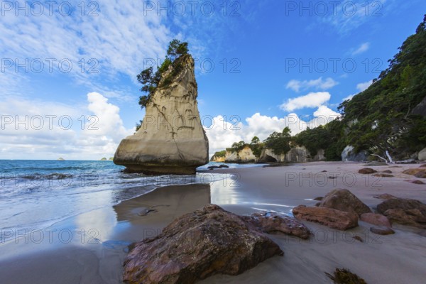 The North Island of New Zealand. Ocean low tide in Cathedral Cove at sunset. Huge boulders and picturesque rocks on a sandy beach. The concept of exotic, ecological and photo tourism