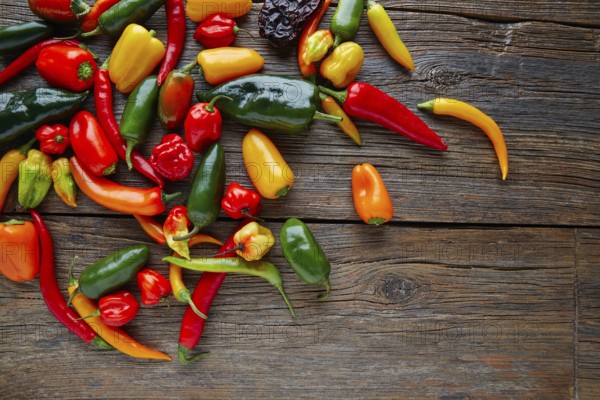 Mexican hot chili peppers colorful mix habanero poblano serrano jalapeno on wood