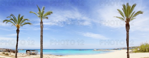 Els Pujols formentera beach with turquoise water and palm trees in balearic islands