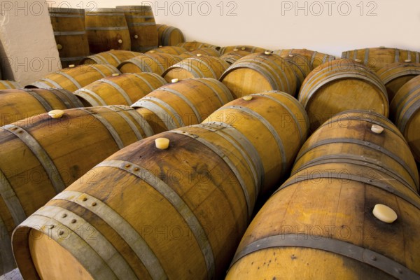 Wine barrels oak wood in mediterranean winery
