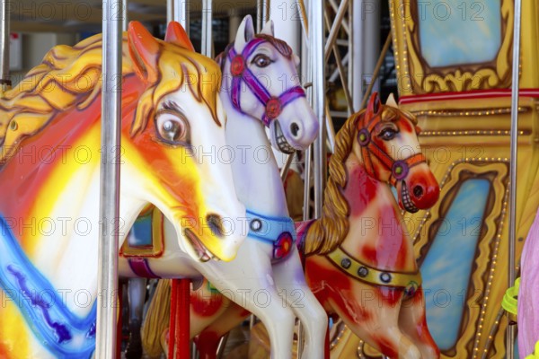 Horses in merry go round fairground attraction