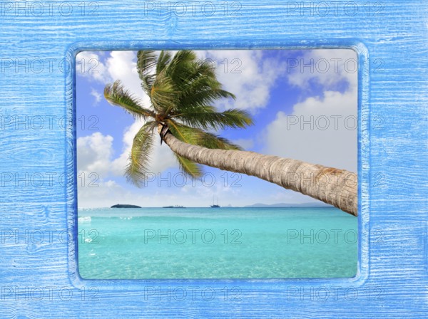 Blue wood border frame with palm tree tropical beach