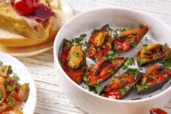 Tapas mix and pinchos food from Spain recipes also pintxos on a white wood board
