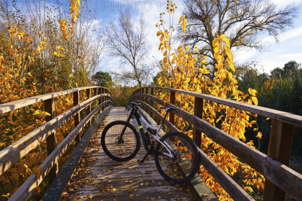 Sunset bike on autumn fall wood bridge at Parque de Turia of Valencia park in spain