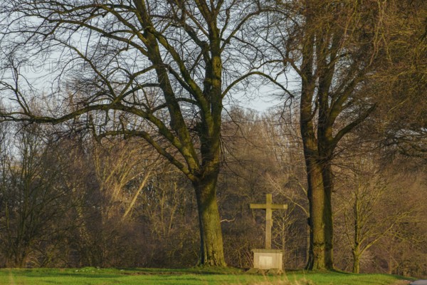 A stone cross stands between two trees in the forest light, Weseke, Borken, Münsterland, Germany, Europe