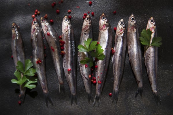 Presenting series anchovy crude above background black stone