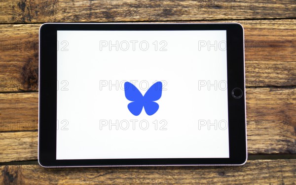 Bluesky logo is displayed on smartphone.