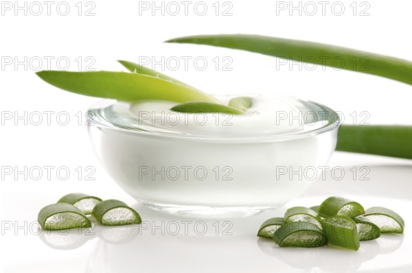 Aloe vera - leaves and cream isolated on white background, poland
