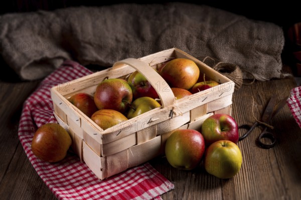 Autumn Apple