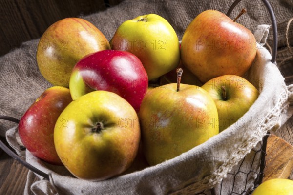Fresh autumn apples in the basket