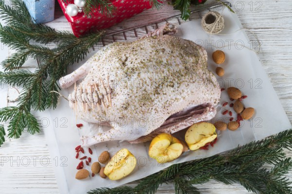 Goose before roasting