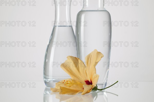 Two vases with clean water and hibiskus flower on a glass table