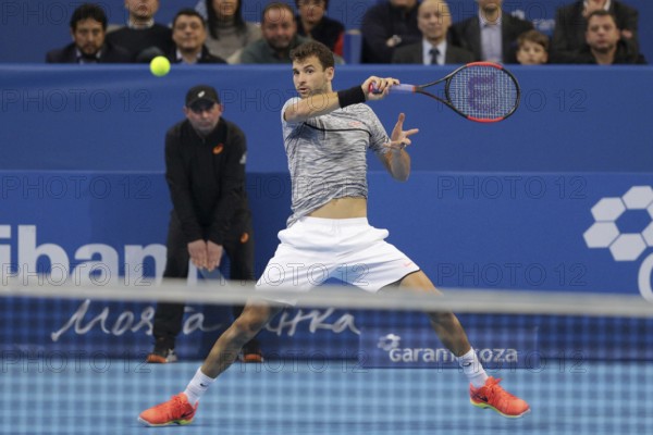 Sofia, Bulgaria - February 12, 2017: Grigor Dimitrov (pictured) from Bulgaria plays against David Goffin from Belgium during the final match from Sofia Open 2017 tennis tournament