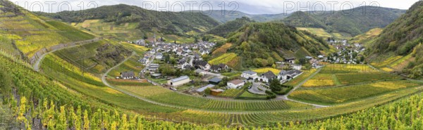 On the red wine hiking trail in the Ahrtal in Rhineland-Palatinate, Germany. A tourist attraction, especially in autumn
