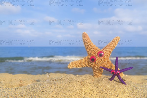 Funny star fishes with eyes at the beach with the sea in the background