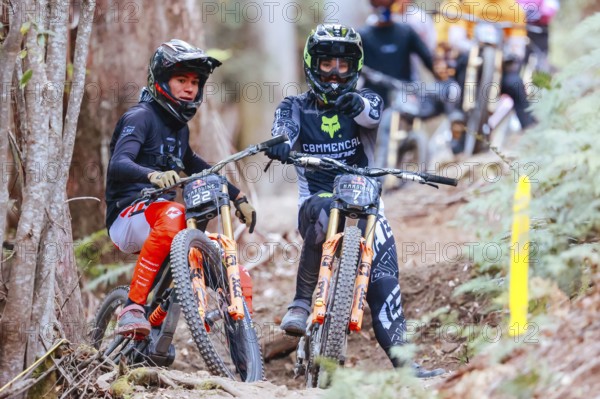 MAYDENA, AUSTRALIA - FEBRUARY 08: Tuhoto-Ariki PENE of New Zealand and Théo ERLANGSEN of South Africa discuss a line after Ronan Dunne's crash in the final practice before finals in Red Bull Hardline Tasmania on February 8, 2025 in Maydena, Australia, Oceania