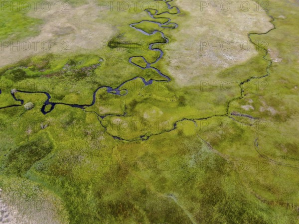 Aerial view of green land and small curve river in Aspen Springs, Mono County California, USA, North America