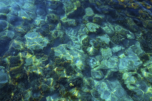 Ibiza Portinatx Arenal Gran beach in Balearic Islands clear water detail