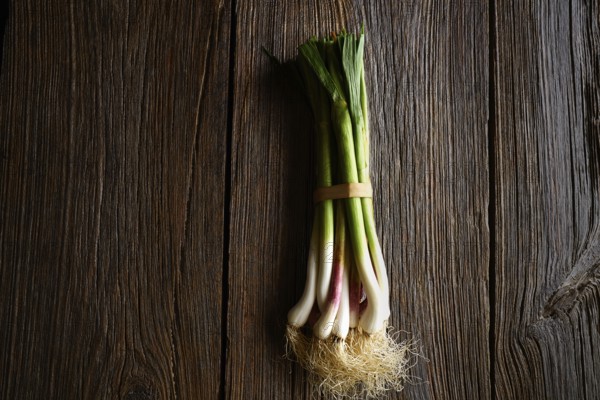 Green garlic bunch on a wooden background texture