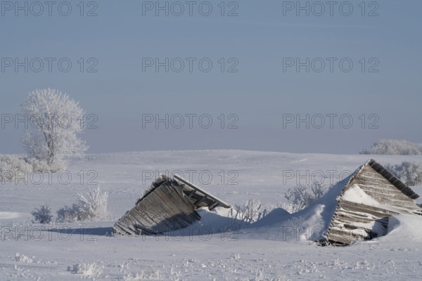 Prairie Winter Scenes rural Saskatchewan Canada Frost