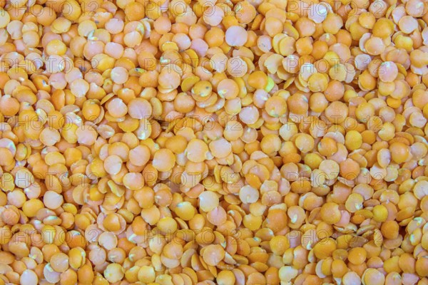 Background Abstract Texture of Red (Orange) Lentils
