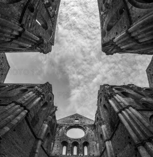 Missing ceiling opening the view to the sky in the destroyed abandoned Cistercian monastery San Galgano in the Tuscany, Italy, Europe