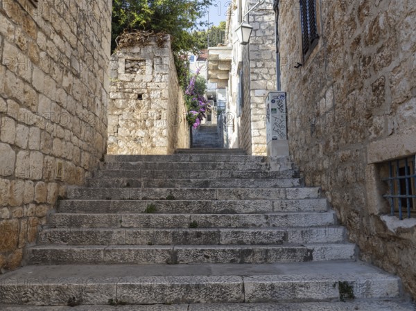 Stone steps, narrow alley in the old town centre, town of Hvar, island of Hvar, Dalmatia, Croatia, Europe
