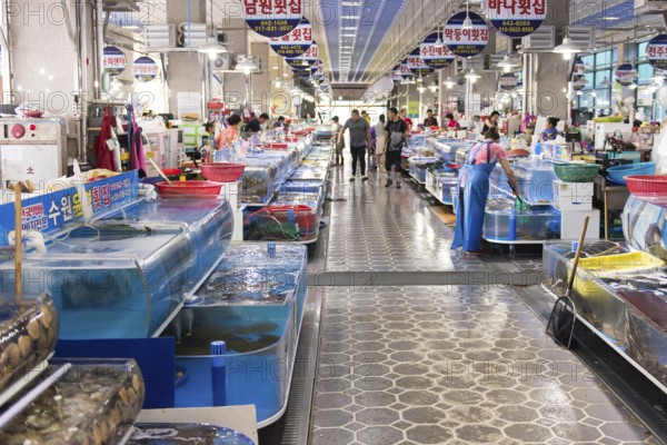 Indoor fish market in Yeosu, South Korea with living fish and people shopping, Yeosu, South Korea, Asia