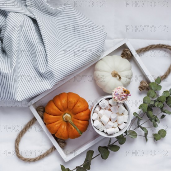 Creative Top view flat lay sill life autumn composition. Hot cacao coffee chocolate with marshmallows mug pumpkins on tray in bed. Square Concept fall cozy warm home comfort morning natural light