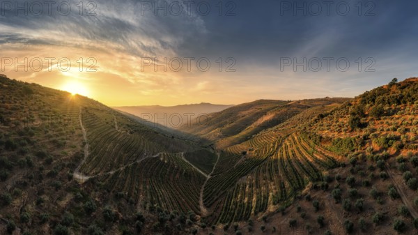 Sao Joao da Resqueira - terraced Portuguese vineyards near Nagozelo do Douro, where port wine is produced