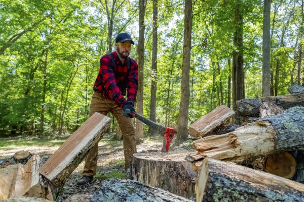 A robust young man wields an axe, skillfully cutting wood on his property. He clears the land while preparing a vital winter supply, turning effort into warmth for the cold months ahead, Kannapolis, United States of America