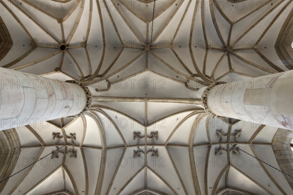 Vault in the north aisle, St., Sankt, Saint