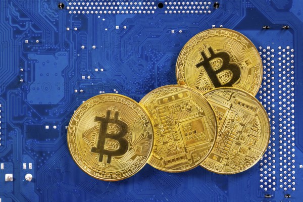 Virtual cryptocurrency money Bitcoin golden coins on a computer printed circuit board PCB. The future of money. Computational equipment. Blue mother board. Shot directly from above